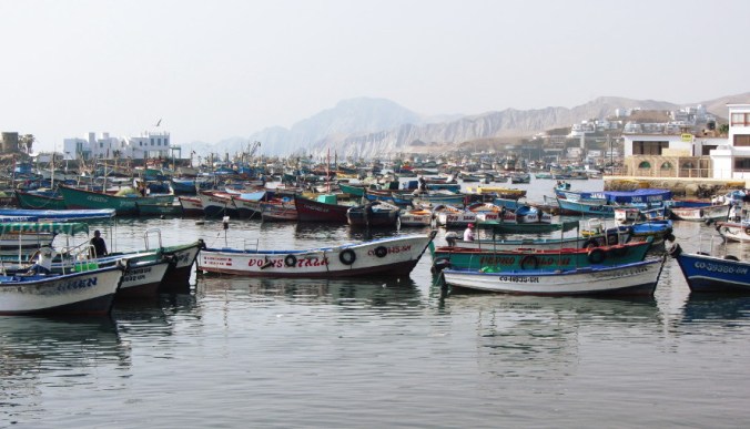 IMG_0404_Aussschnitt